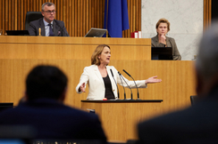 FPÖ-Sozialsprecherin Dagmar Belakowitsch im Nationalrat.